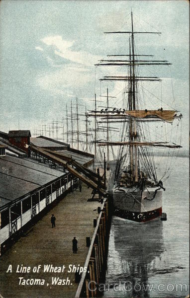 A Line of Wheat Ships Tacoma Washington