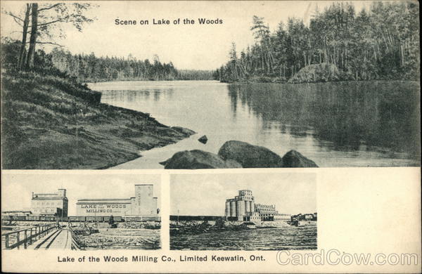 Scene on Lake of the Woods Keewatin Canada Ontario