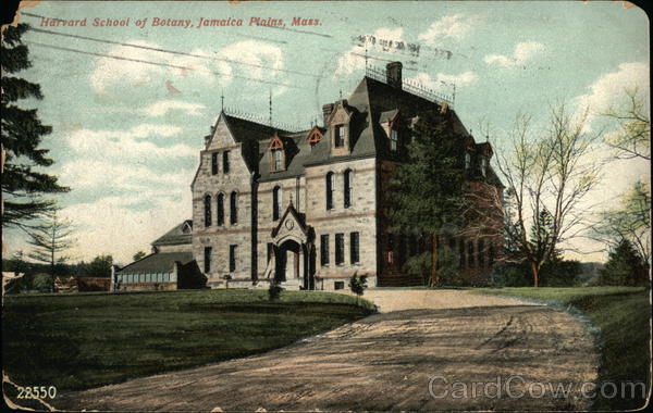 Harvard School of Botany Jamaica Plain Massachusetts
