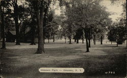 Scenic View of Genesco Park Postcard