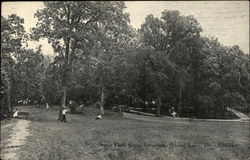 19434 Avon Park Hotel Grounds Postcard