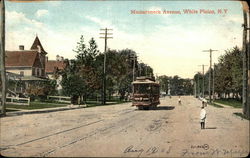 Trolley on Mamaroneck Avenue White Plains, NY Postcard Postcard Postcard