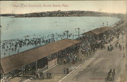 View of the Boulevard Postcard