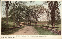 Bussey Farm, South Street Postcard
