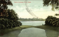 Cove at Jamaica Pond Postcard