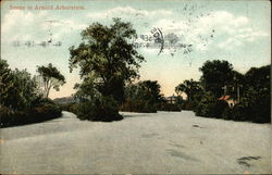 Arnold Arboretum, Harvard University Postcard