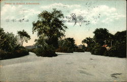 Arnold Arboretum, Harvard University Boston, MA Postcard Postcard Postcard