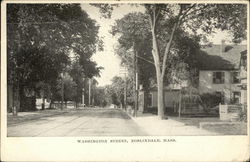 Tree Lined View of Washington Street Tree Lined View of Washington Street