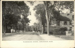 Tree Lined View of Washington Street Roslindale, MA Postcard Postcard Postcard