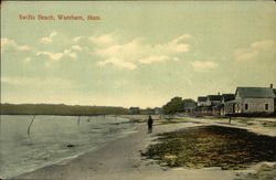 Water View of Swifts Beach Postcard
