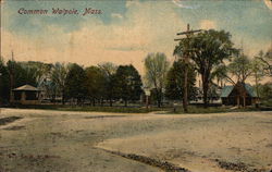 Common Walpole, Mass. Massachusetts Postcard Postcard Postcard