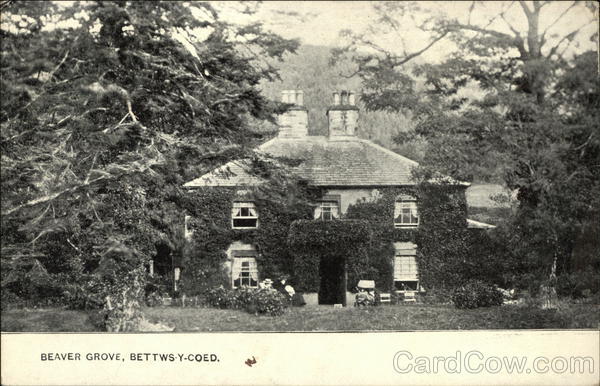 Beaver Grove Bettws-y-Coed Wales