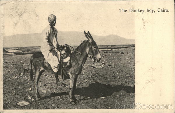 The Donkey Boy Cairo Egypt Africa