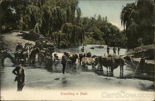 Travelling in Natal South Africa