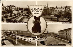 A Small Scotch From Kirkcaldy Postcard
