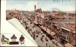 Bird's Eye View Postcard