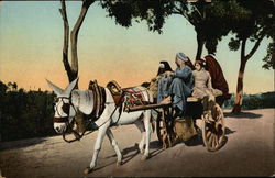 Family on a Donkey Cart Postcard