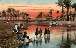Egyptian Landscape. Postcard