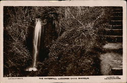 The Waterfall, Luccombe Chine Postcard