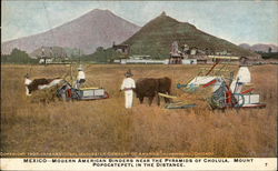 Mexico - Modern American Binders near the Pyramids of Cholula. Mount Popocatepetl in the Distance. Postcard