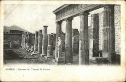 Colonne del Tempio di Venere Postcard