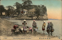Shell Picking Honmoku Postcard