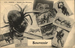 Jardin des Plantes Postcard