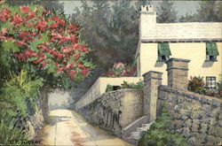 Road in Residential Area Postcard