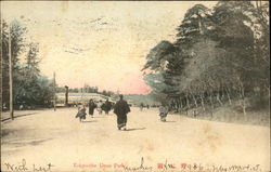 The Ueno Park Postcard