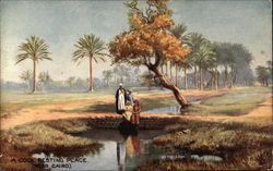 A Cool Resting Place Postcard