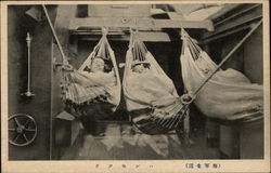 Sailors in Hammocks Postcard
