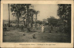 Landscape in the Upper River (Gambia River) Bathurst, Gambia Africa Postcard Postcard