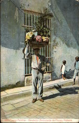 Flower Peddler (Vendedor Ambulante de FLores) Havana, Cuba Postcard Postcard