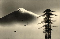 Stock #477549 Thumbnail