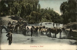 Stock #477649 Thumbnail