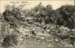 Molopo River, Mafeking Postcard
