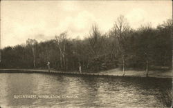 Queensmere, Wimbledon Common Postcard