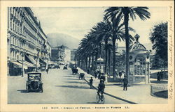Avenue of Vendum Postcard