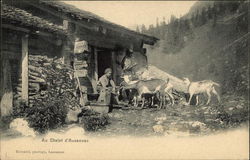 Au Chalet d'Ausannaz Postcard