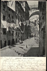 Ponte di Carignano Postcard