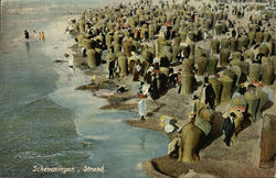 Stock #477831 Thumbnail