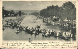 Regatta Race Postcard