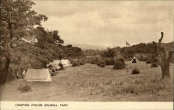 Camping Fields, Gilwell Park London, United Kingdom Postcard Postcard