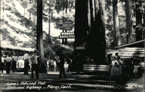 Lane's Redwood Flat - Redwood Highway Piercy California