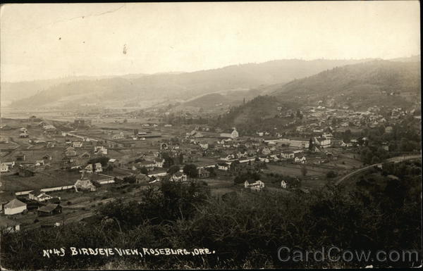 Birdseye View Roseburg Oregon