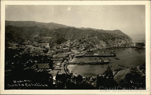 View of Avalon Bay on Santa Catalina Island California