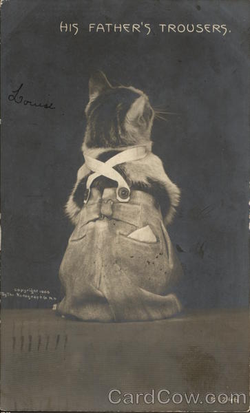 His Father's Trousers Cats
