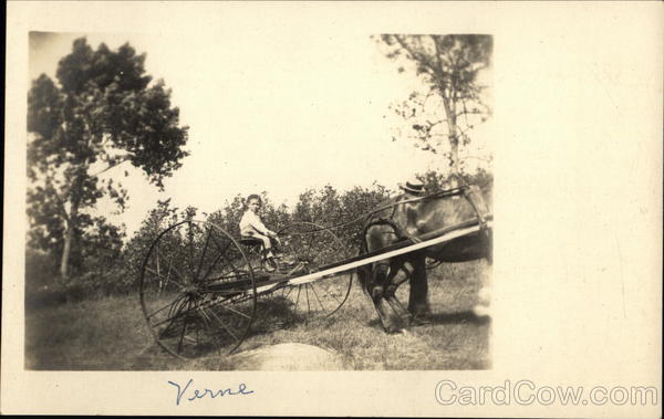 Boy Driving Horse Drawn Wagon Boys