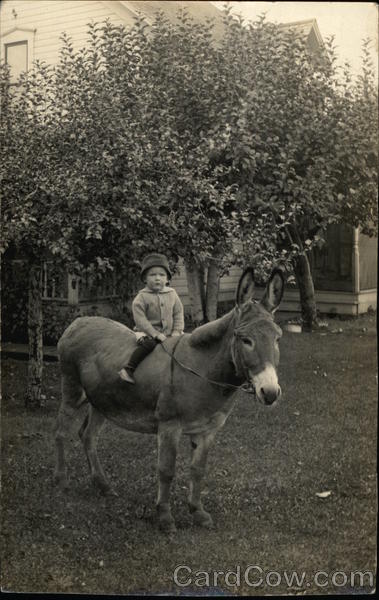 Young Child on a Donkey Children