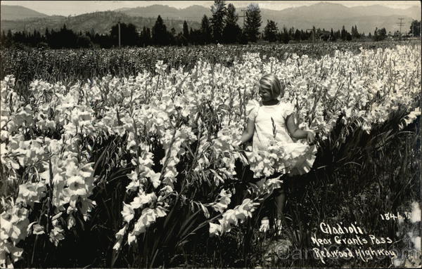 Girl in Field of Gladioli Grants Pass Oregon